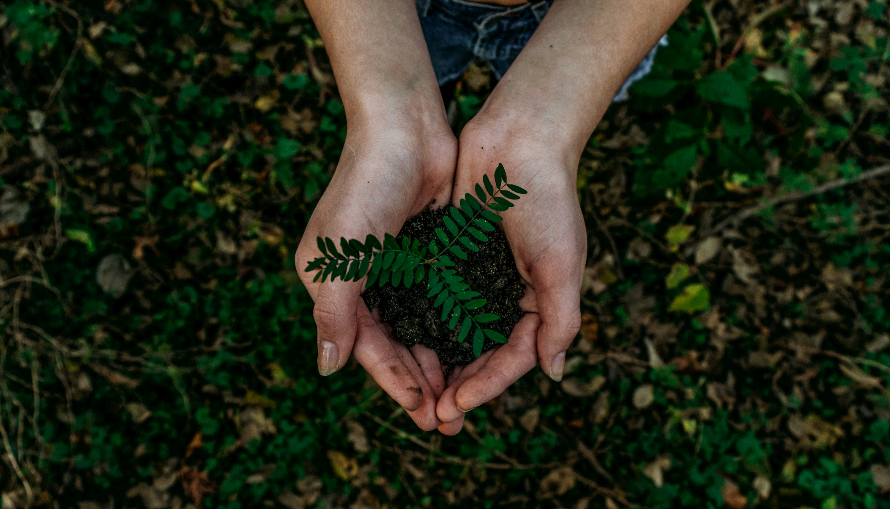 Plant & Crop Care