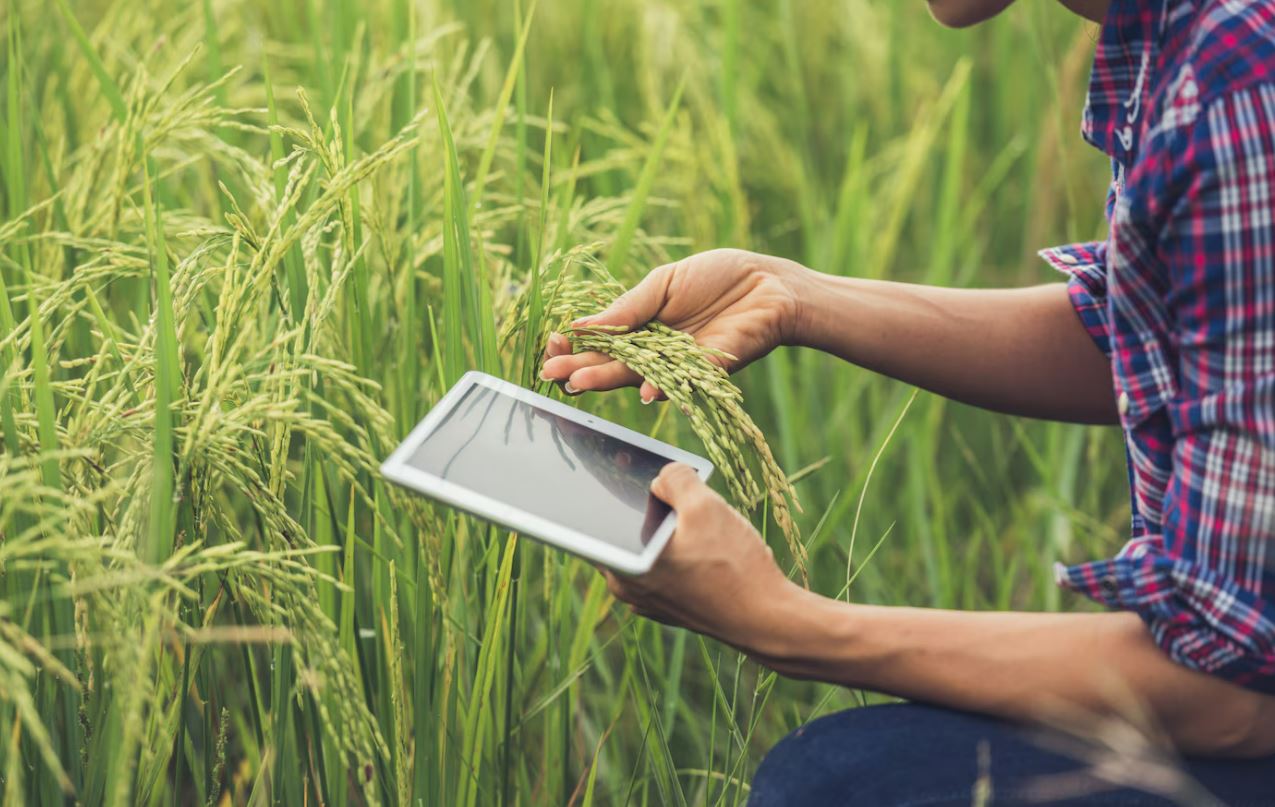 Agricultural Consulting