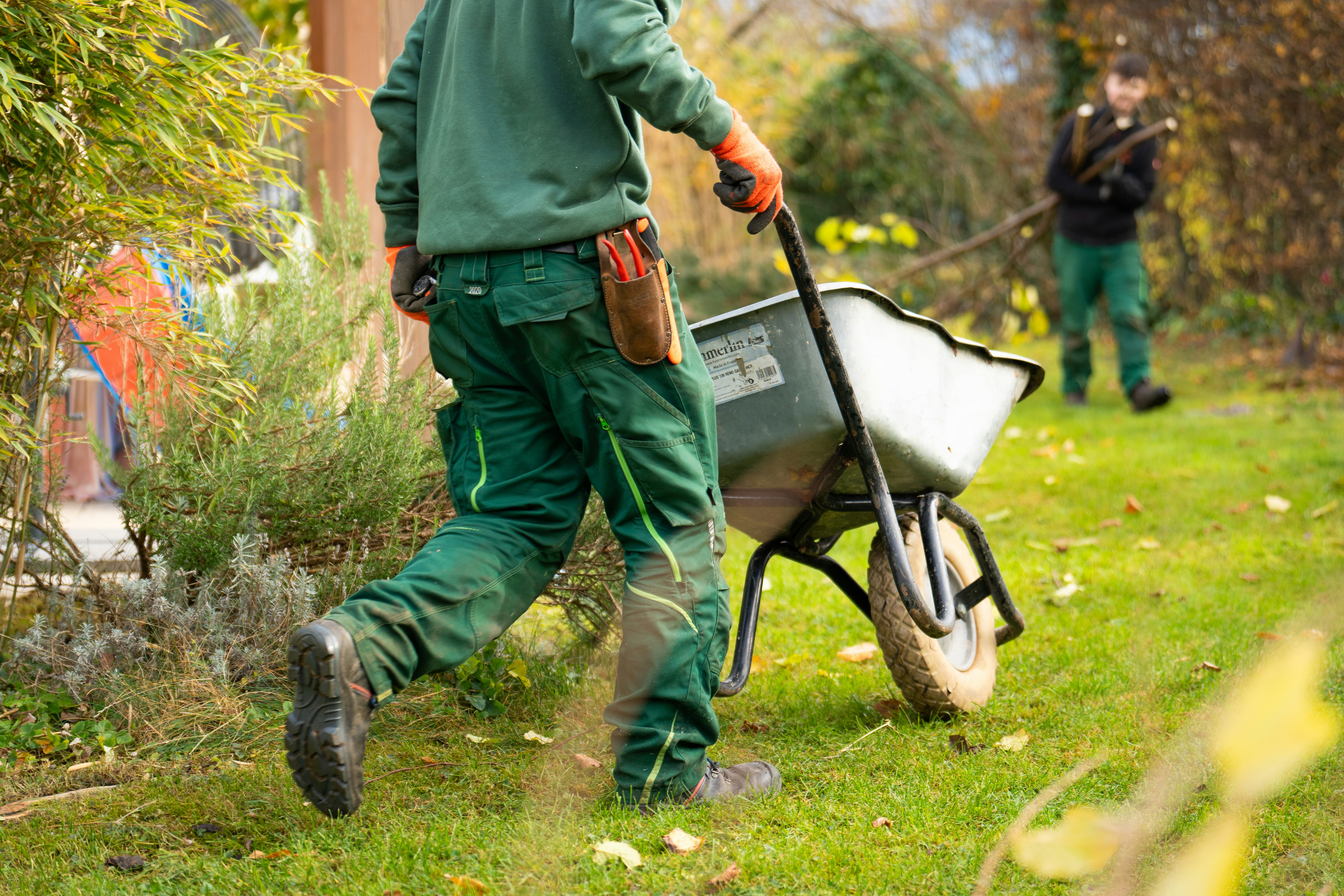 Professional Landscaping